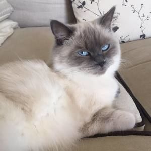 Meet your Posher, Marilyn